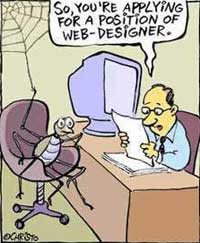 Webdesigner